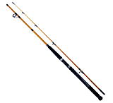 Image of Daiwa FT Surf Spinning Rod