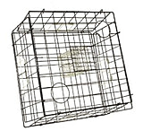 Image of Danielson Crab Trap Fold-Up 24in.