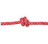 Image of Edelweiss Discover