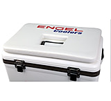 Image of Engel Cushion