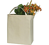 Image of Equinox Organic Cotton Grocery Bag