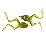 Image of Gitzit Reel Frog