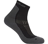 Icebreaker Merino Hike+ Light Mini Socks - Men's