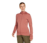Icebreaker Women Merino 260 Quantum LS Zip Hoodie