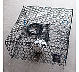 Image of Joy Fish Low Boy Crab Trap