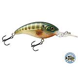 Image of Livingston Lures Deep Impact 6 Lures