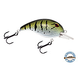 Image of Livingston Lures Dive Master Jr Lures