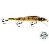 Image of Livingston Lures EBS Walleye 136 Lures