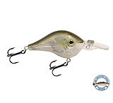 Image of Livingston Lures Shredder 53 Lures