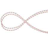 Image of Mammut 10.0 Performance Static Rope