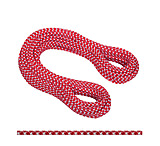 Image of Mammut Swiss 9.5 Dry Rope