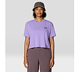 Image of Mountain Hardwear MHW Logo Boxy Crop Short Sleeve Top - Women's
