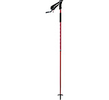 Image of MSR Flight 2 Snow Poles