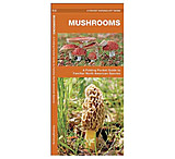 Image of Globe Pequot Press: Pocket Naturalist Guides