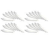 Outdoor Edge Cutlery 24pc 3.5in Replacement Blade Pack, RR35-24