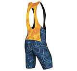 Image of Pearl Izumi x Grateful Dead Ten Spot Pro Bib Shorts - Men's