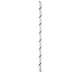 Image of Petzl 10.5mm Parallel Rope