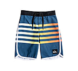 Image of Quiksilver Everday Grass Roots 14 Inch - Boy's