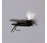 Image of Rainy's Zebra Copper