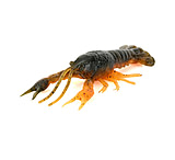 Image of Savage Gear 4D Craw Soft Bait
