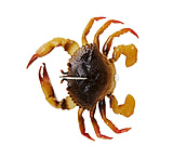 Image of Savage Gear Toughtec Crab Soft Bait