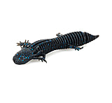 Image of Savage Gear Toughtec NED Salamander Soft Bait