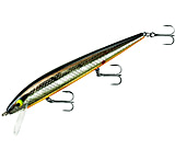 Image of Smithwick Perfect 10 Rogue Jerkbait 5.5in