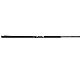 Image of South Bend Eclipse E-Glass Fishing Rods