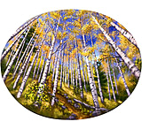 Image of Sticker Art Hike Through Aspens Sticker