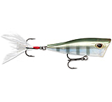 Image of Storm Arashi Cover Pop 8, 3.12in, 1/2oz