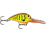 Image of Storm Deep Wiggle Wart