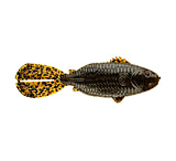 Image of Strike King Rage Shellcracker,Green Pumpkin RGSC-46
