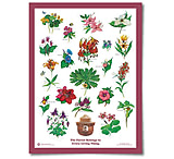 Image of The Landmark Project Flowers of the Forest Educational Poster