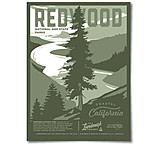 Image of The Landmark Project Redwood National Park Poster