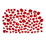 Image of Trango Home Gym 100 Holds Kit