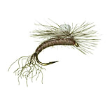 Image of Umpqua Sprout Callibaetis 12