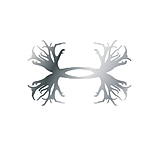 Image of Under Armour Antler Emblem Chrome/abs 2-pack<