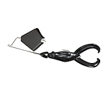 Image of War Eagle Buzztoad 425183