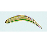 Image of Yakima Bait Flatfish Wiggling Plug, #F-7, Treble Hooks, Floating
