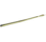 Image of Zoom Z3 Original Finesse Worm