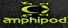 Amphipod 2016 Logo