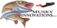 Musky Innovations