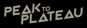 Peak to Plateau Oct 2017 Brand Logo