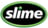 Slime 2019 Logo