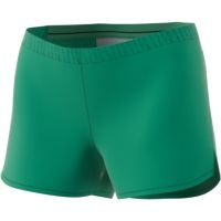 Adidas Terrex Mountain Fly Short - Women's