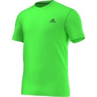 人気 PARMANENT TEE GREEN cba0b7dde82e17eed1cf0b9a00315c