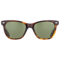 AO Saratoga Sunglasses