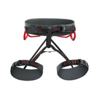 Arc'teryx Ar-395A Harness - Men's