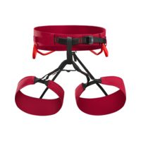 Arc'teryx FL-365 Harness - Men's