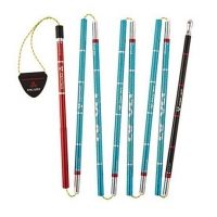 Arva Compact 240 Probe